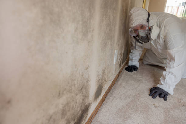 Forensic Mold Investigation in Stigler, OK